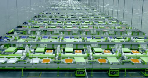 马建荣与申洲国际 以热爱为引擎，智造全球服饰“世界工厂”